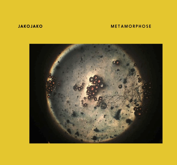 REVIEW: JakoJako debuts with his polyhedral Metamorphose