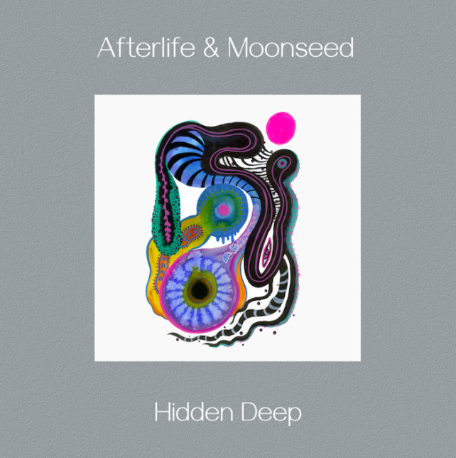 Cross-Continental Soundscapes – Hidden Deep by Afterlife & Moonseed
