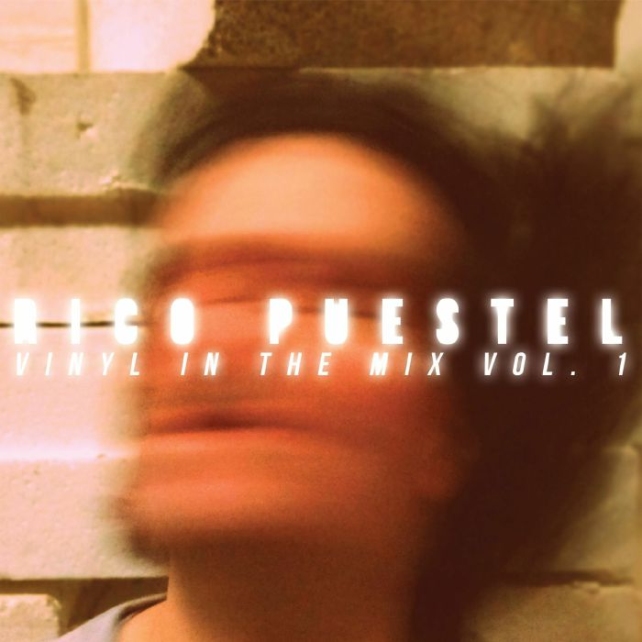 Rico Puestel – Vinyl In The Mix Vol. 1: A curated analog selection