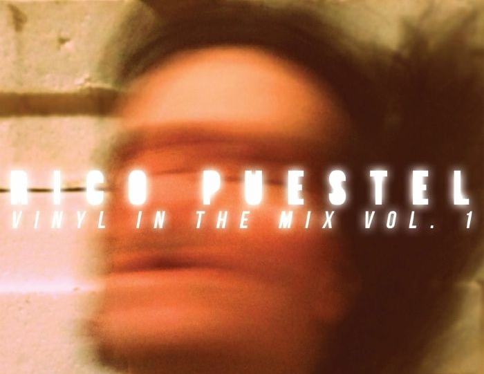Rico Puestel – Vinyl In The Mix Vol. 1: A curated analog selection