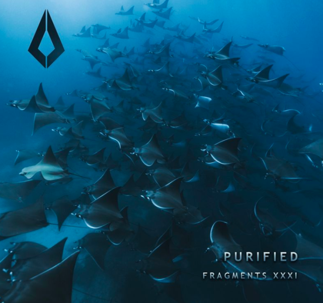 Purified Records Unveils 31st Edition of VA Series ‘Fragments XXXI’