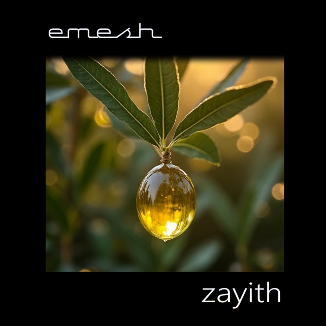 emesh presents Zayith