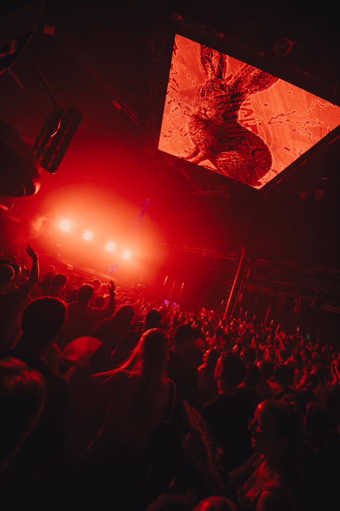 Amnesia Closing Festival 2025: Proof that music and emotion will endure