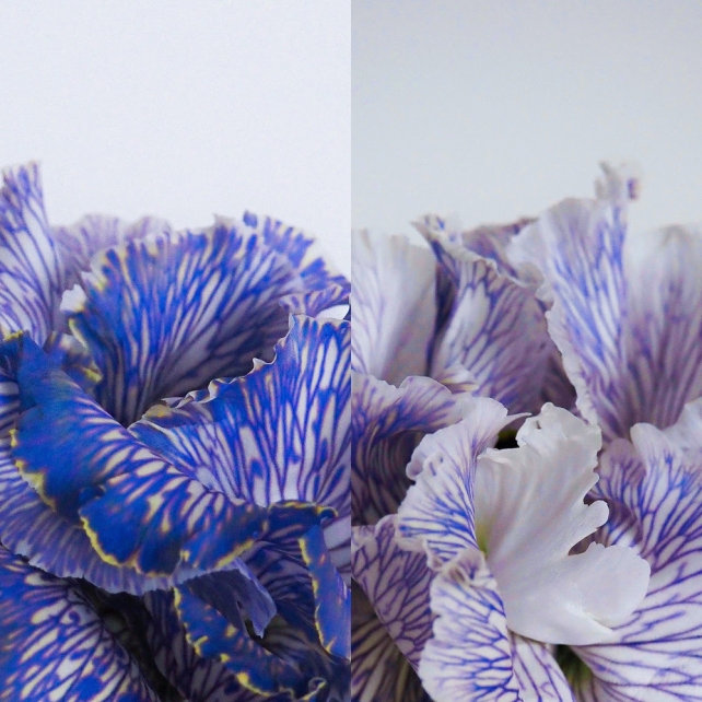 Be Your Own Studio presents VA Be Vol.5