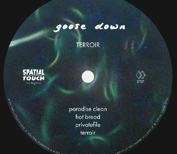 Between House and Broken Beat: Goose Down’s Subtle Statement