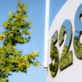 Review the Spectacular 528 Ibiza 2026 Program