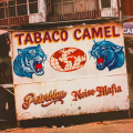 CLUB MUSIC BUT RENEWED, PETERBLUE & NOISE MAFIA BRING FUNKY TEXTURES, BREAKBEATS AND FLAVOUR